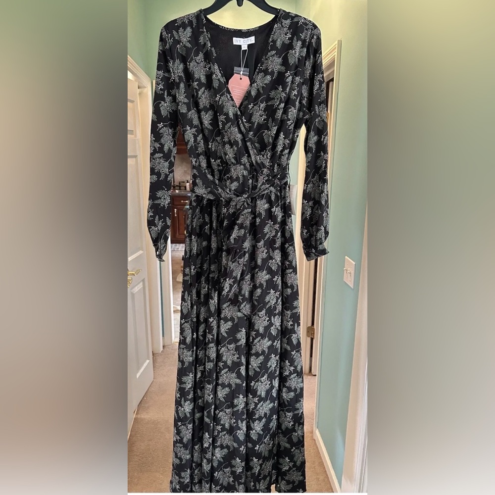 Ivy City Co Holly Berry Maxi Dress Size Large